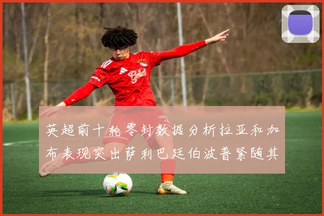 英超前十轮零封数据分析拉亚和加布表现突出萨利巴廷伯波普紧随其后