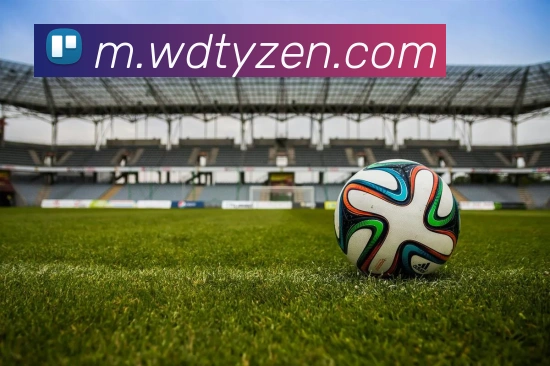 韦德体育品牌故事